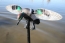 Чучело чирка , мотоутка MOJO® Elite Series™ - Green Wing Teal