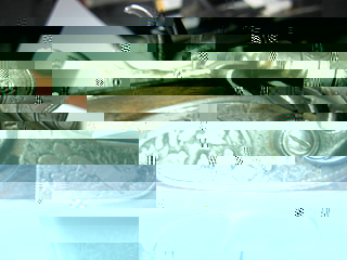 3260995.jpg